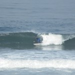 DSCF8167