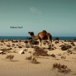 Western sahara