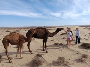 Family surfing trip south of Morocco - uncrowded waves and breathtakin lanscapes
