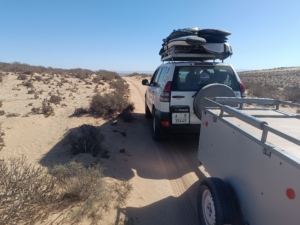 Family Surf Trp south of Morocco